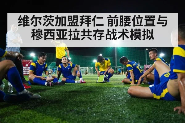 维尔茨加盟拜仁 前腰位置与穆西亚拉共存战术模拟