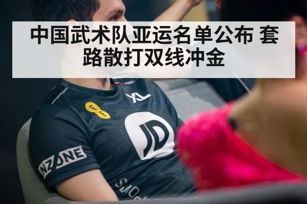 中国武术队亚运名单公布 套路散打双线冲金